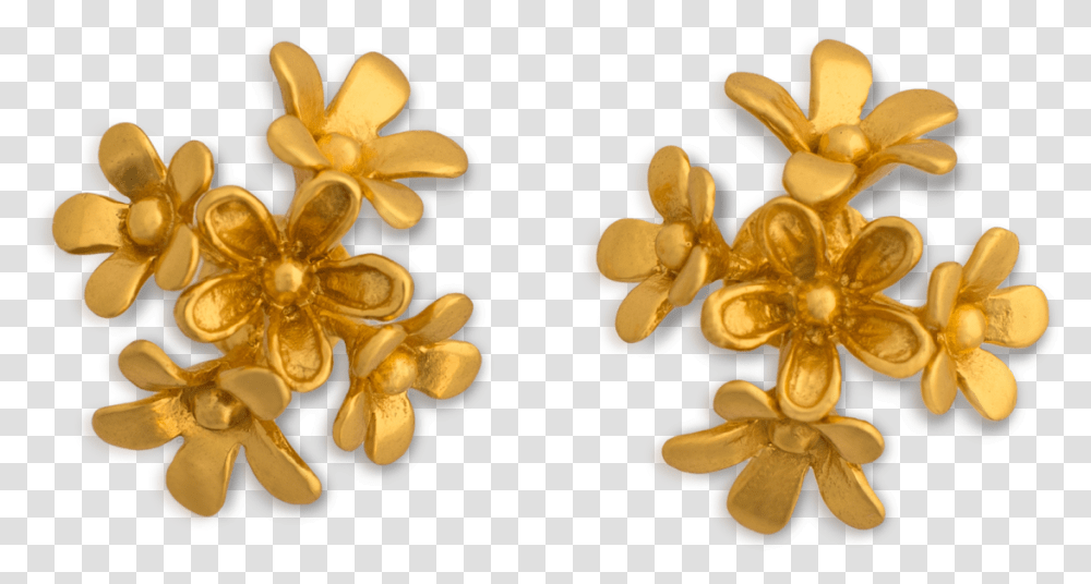 Plumeria, Plant, Flower, Gold, Pollen Transparent Png