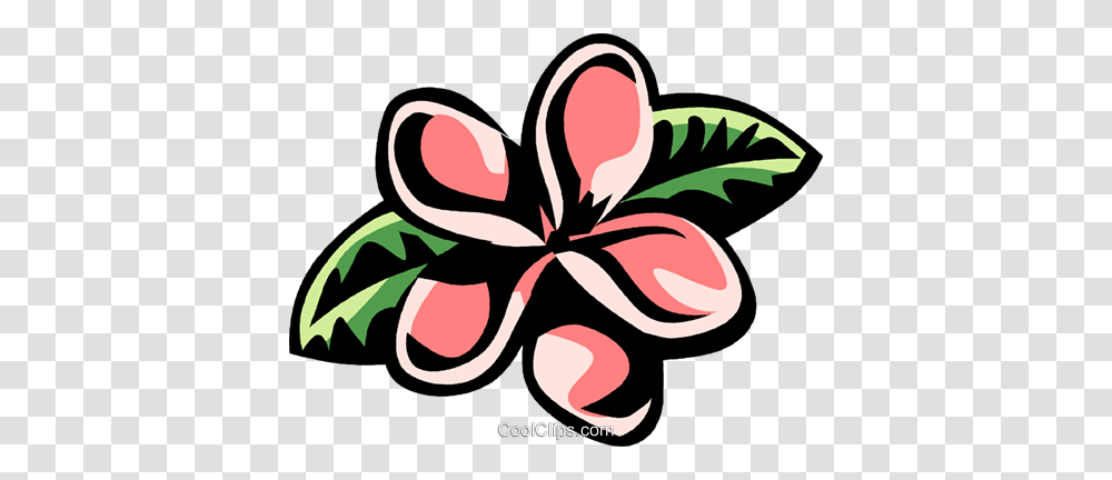 Plumeria Royalty Free Vector Clip Art Illustration, Floral Design, Pattern, Plant Transparent Png