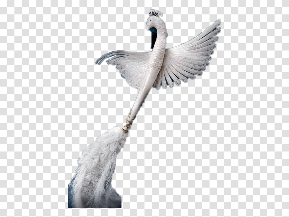 Plumette Duster Beautyandthebeast Crane, Bird, Animal, Dove, Pigeon Transparent Png