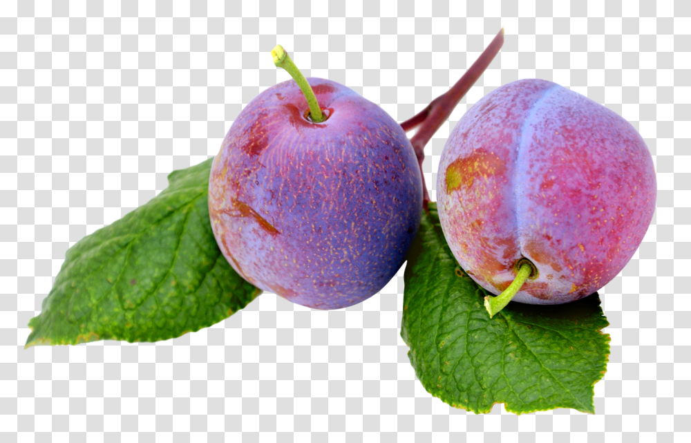 Plums Image, Fruit, Plant, Food, Blueberry Transparent Png