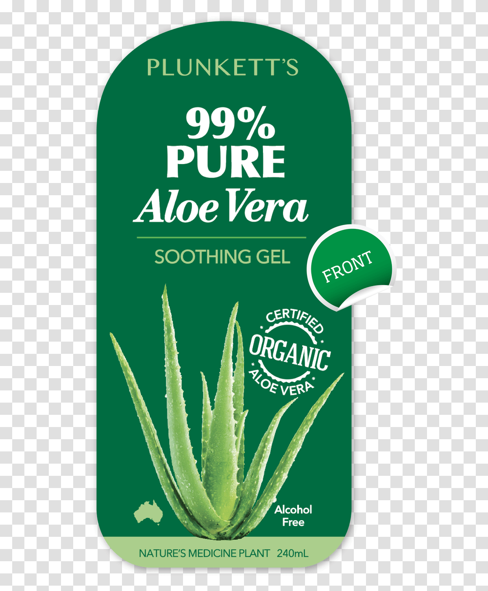 Plunkett S Aloe Vera 99 Pure Aloe, Plant Transparent Png