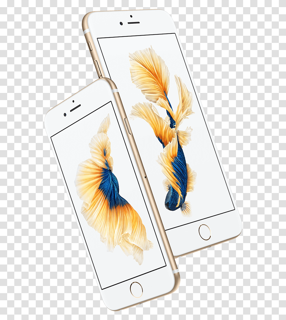 Plus, Phone, Electronics, Mobile Phone, Cell Phone Transparent Png