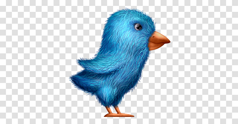 Plush Twitterbird Free Download Icon, Beak, Animal, Chicken, Poultry Transparent Png