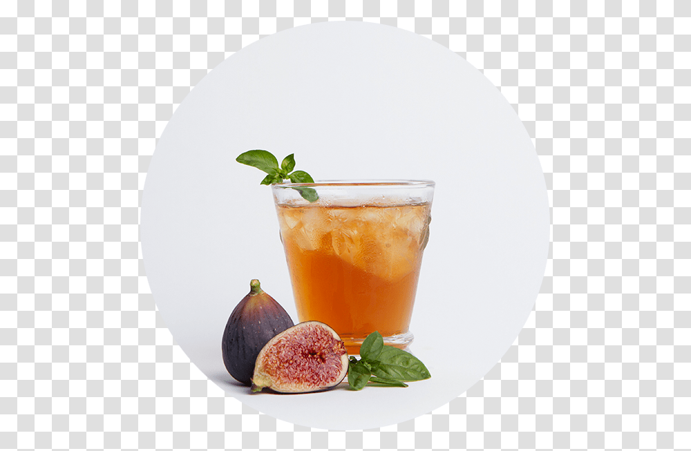 Plv Fig Tea Common Fig, Plant, Potted Plant, Vase, Jar Transparent Png