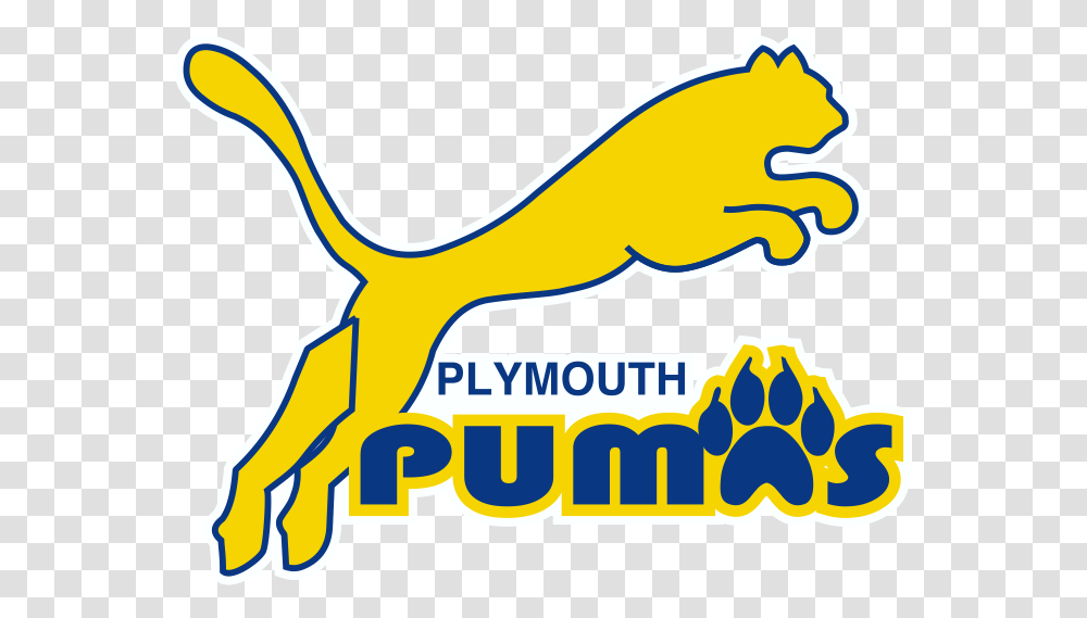 Plymouth Scholars Pumas Car Decal Plymouth Scholars Logo, Gecko, Lizard, Reptile, Animal Transparent Png