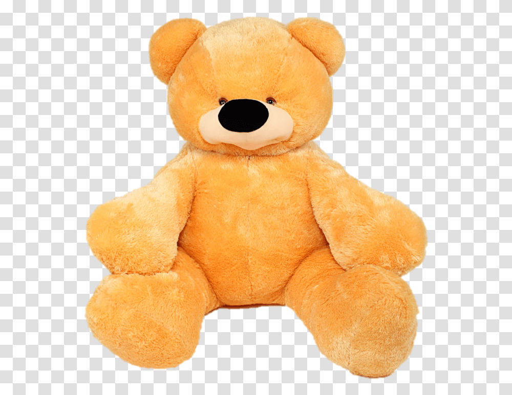 Plyushevij Medved, Teddy Bear, Toy, Plush Transparent Png