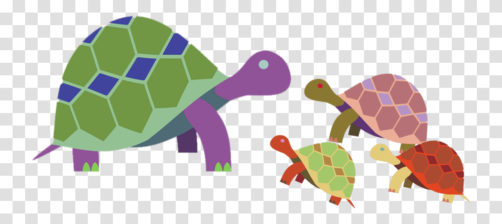 Pm Resources - Wisconsin Alliance For Infant Mental Health Animal Figure, Tortoise, Turtle, Reptile, Sea Life Transparent Png