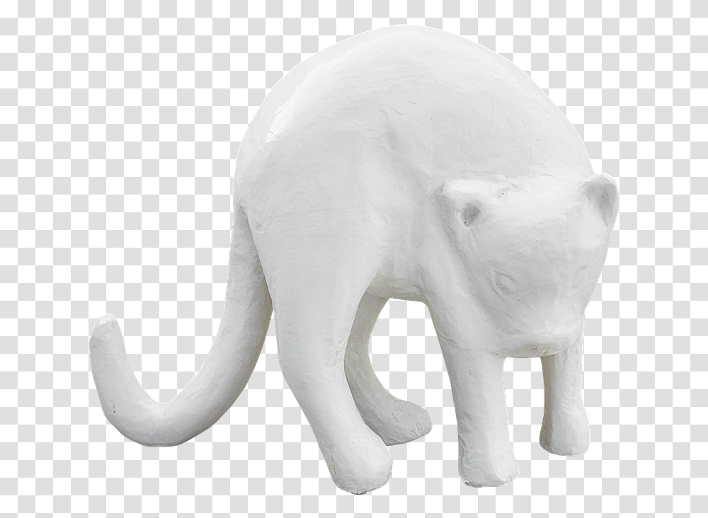 Pngcatplasterwhite Catwhite Color Free Image From Animal Figure, Mammal, Wildlife, Elephant, Pet Transparent Png