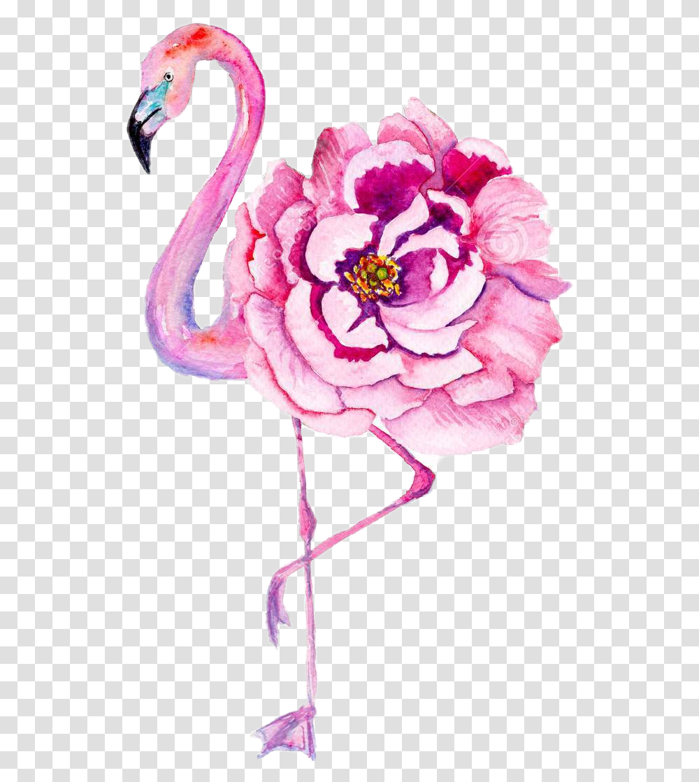 Pngflamenco Rosadoflortumblr Watercolor Flamingo Amp Flowers, Rose, Plant, Blossom, Animal Transparent Png