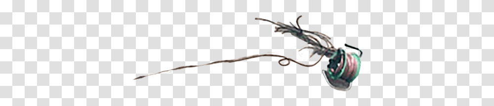 Pngfun Com Insect, Bow, Person, Animal, Cutlery Transparent Png