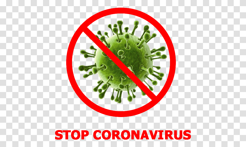 Pngimg Stop Coronavirus Logo, Text, Plant, Pollen, Anther Transparent Png