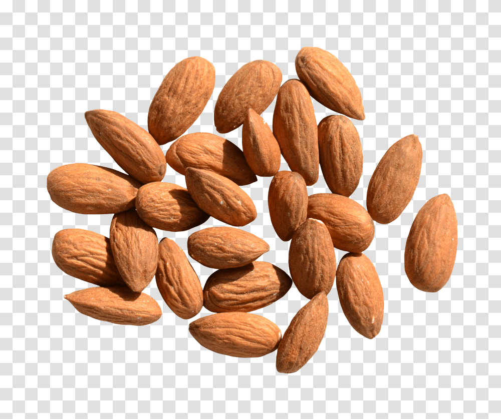 Almond Image, Fruit, Nut, Vegetable, Plant Transparent Png