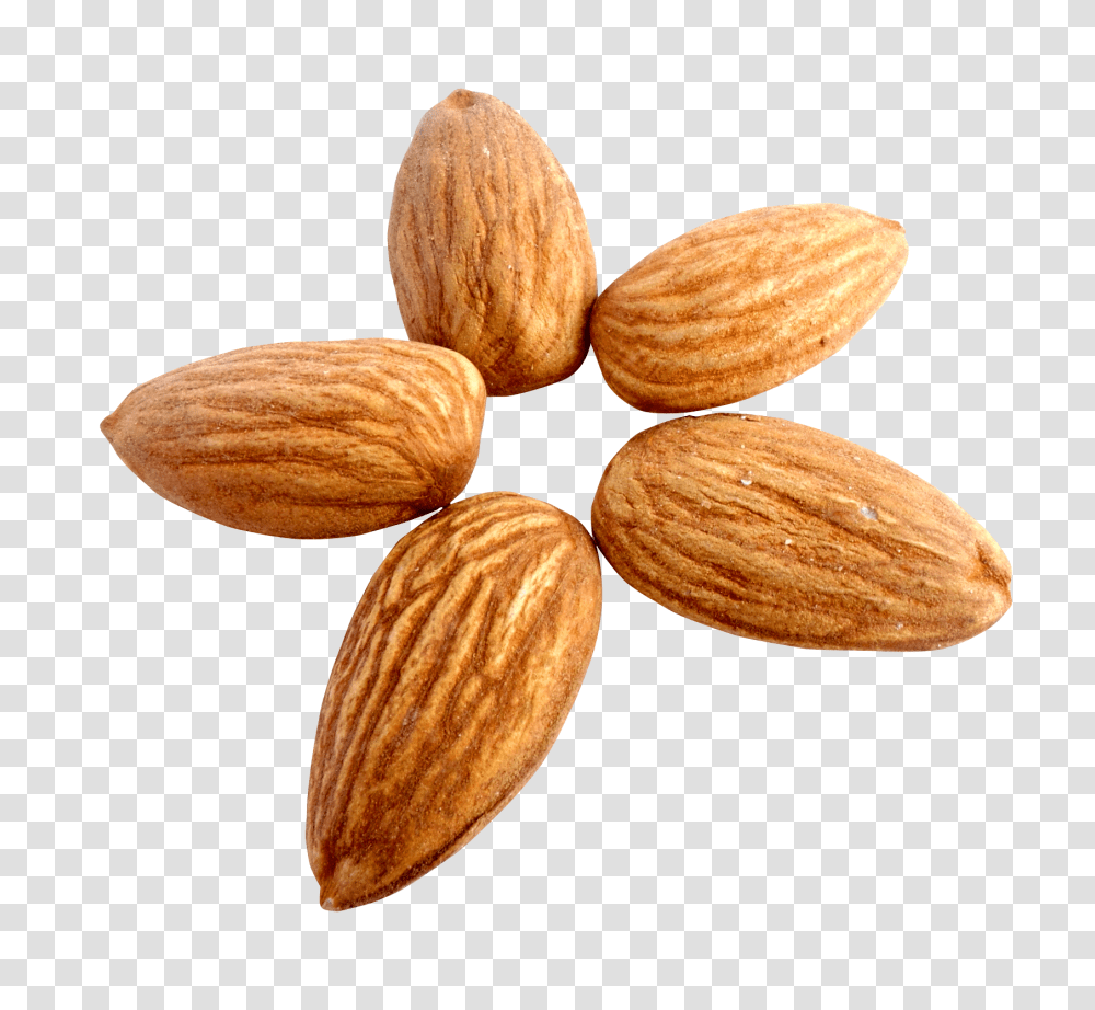 Almond Image, Fruit, Nut, Vegetable, Plant Transparent Png