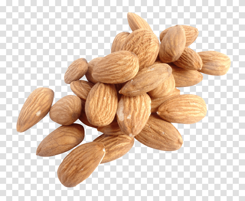Almond Nut Image, Fruit, Vegetable, Plant, Food Transparent Png