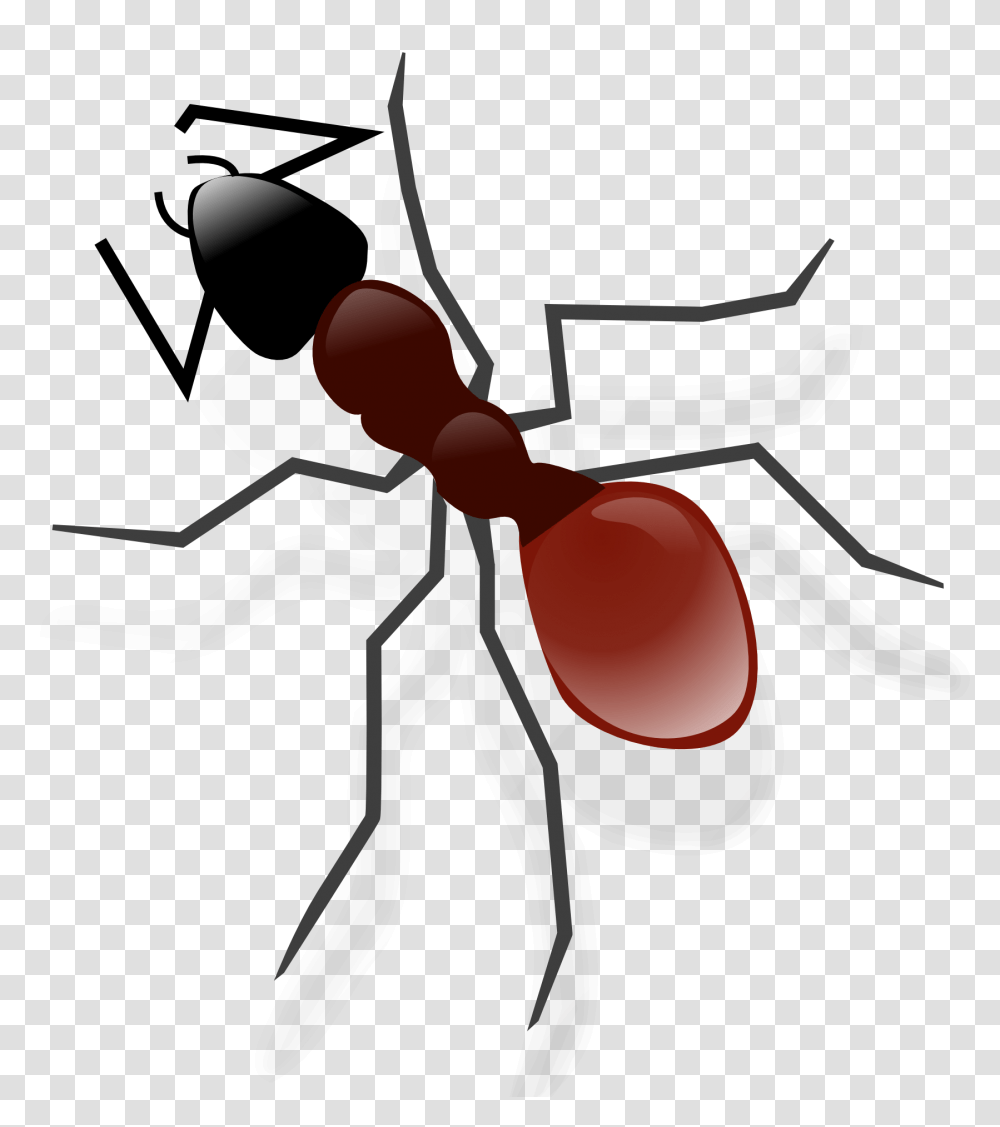 Ant Image, Insect, Invertebrate, Animal Transparent Png