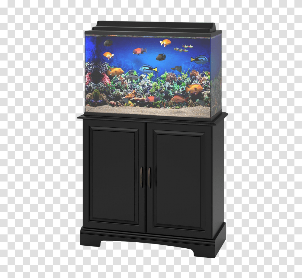 Aquarium Fish Tank Image, Water, Sea Life, Animal, Aquatic Transparent Png