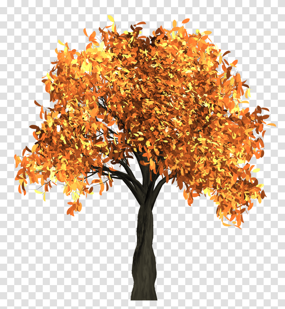 Autumn Tree Image, Nature, Chandelier, Lamp, Plant Transparent Png