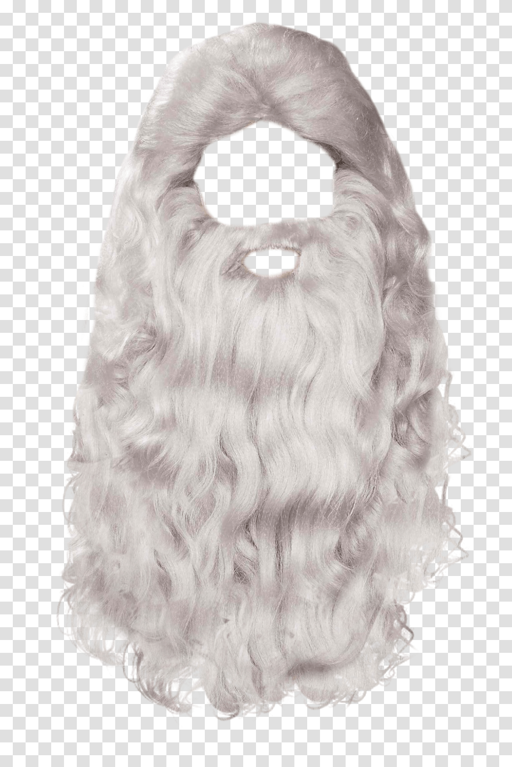 Beard Image, Person, Dog, Pet, Canine Transparent Png