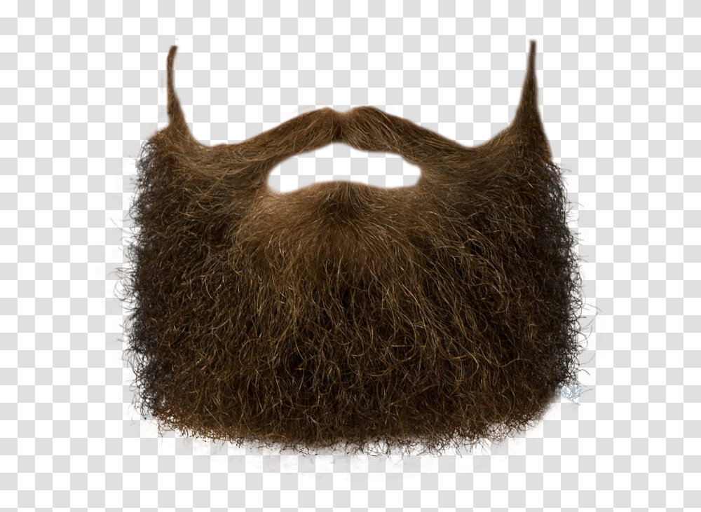 Beard Image, Person, Face, Cat, Pet Transparent Png