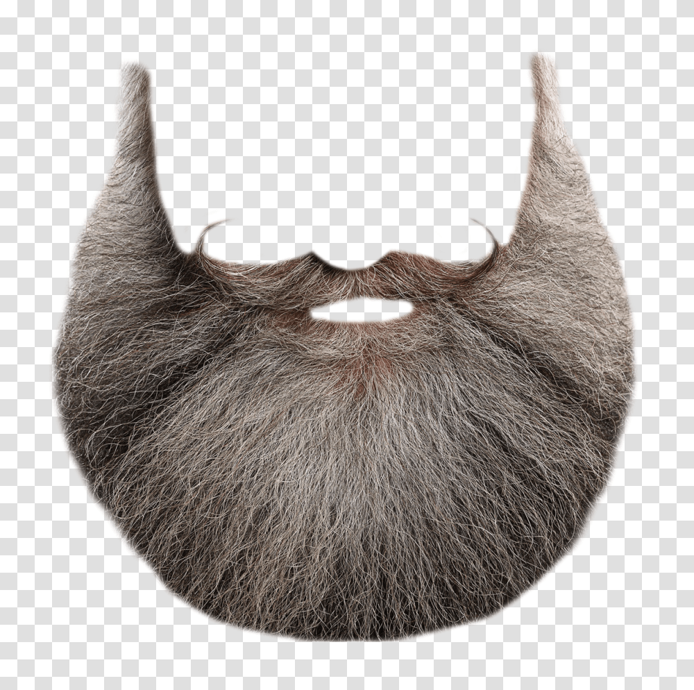 Beard Image, Person, Face, Rug, Mustache Transparent Png