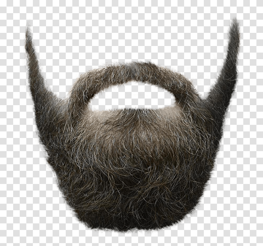 Beard Image, Person, Face Transparent Png