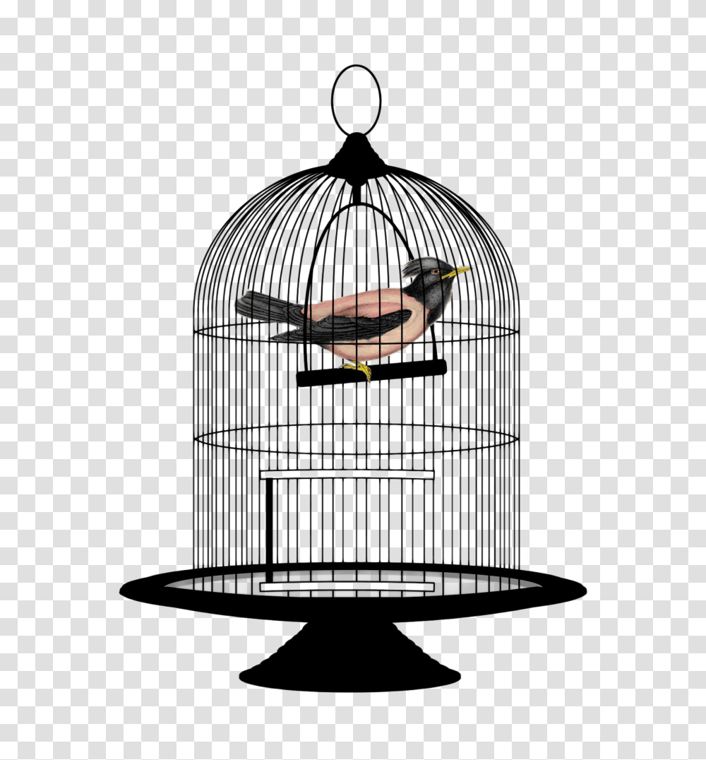 Bird Cage Image, Bird Feeder, Animal, Lamp Transparent Png