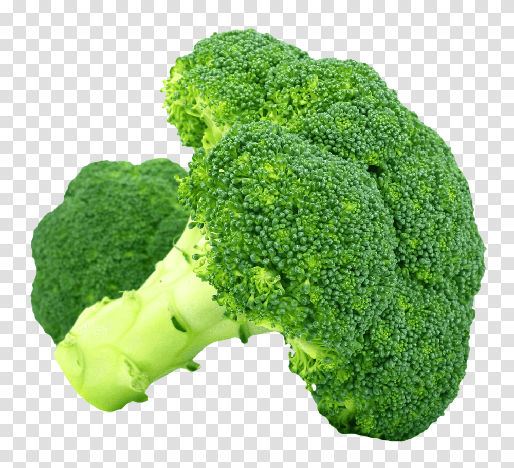 Broccoli Image, Vegetable, Plant, Food Transparent Png