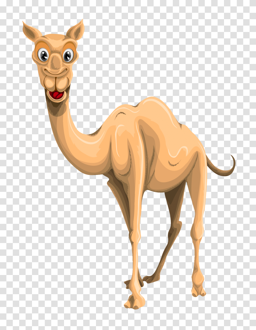 Camel Vector Image, Mammal, Animal Transparent Png