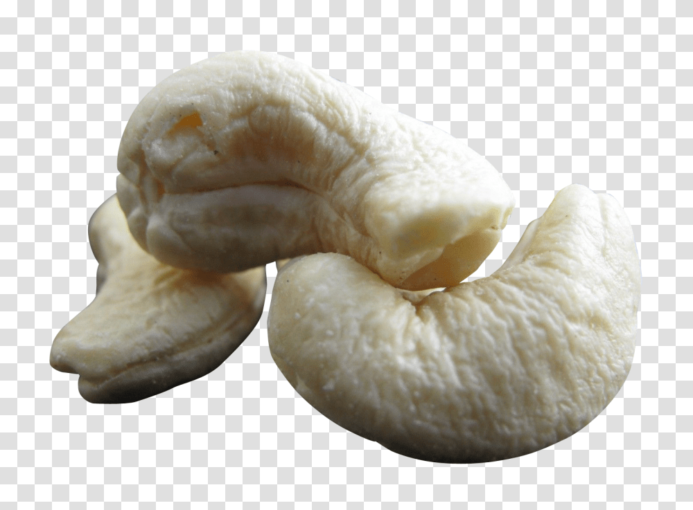 Cashew Nut Image, Fruit, Plant, Food, Fungus Transparent Png
