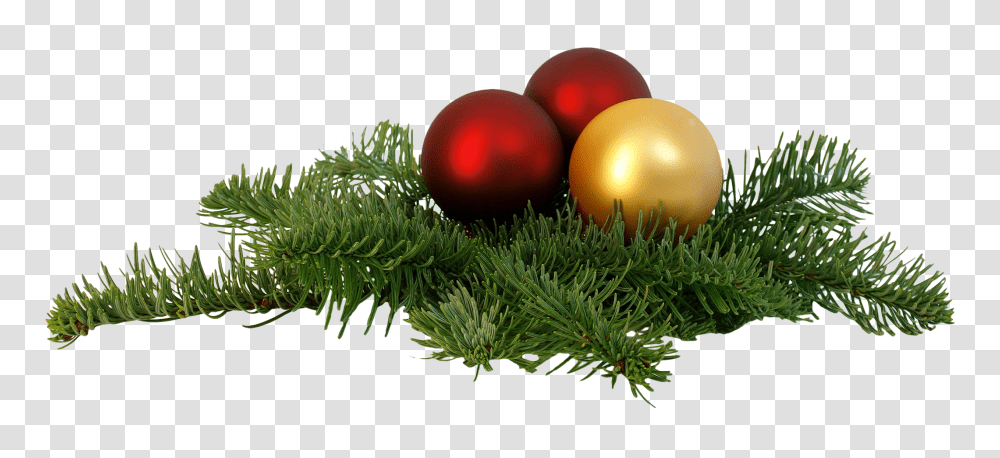 Christmas Branch Image, Religion, Sphere, Plant, Tree Transparent Png