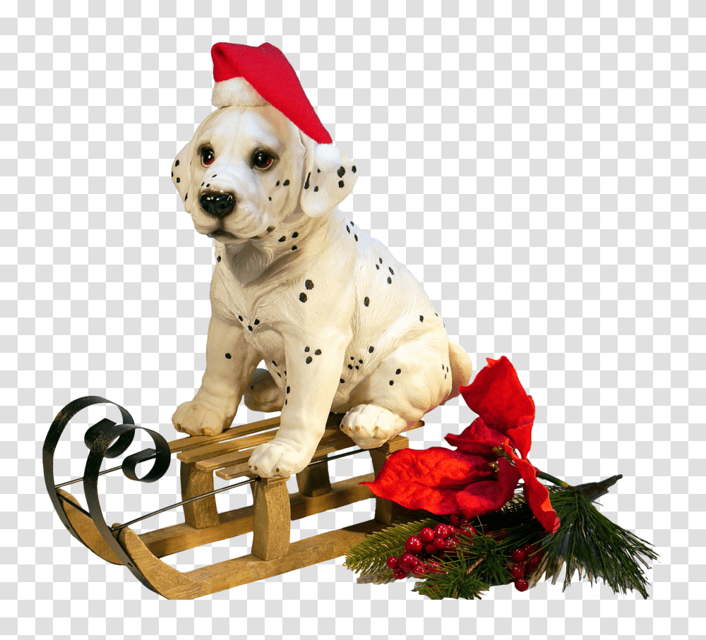 Christmas Dog Image, Religion, Pet, Canine, Animal Transparent Png