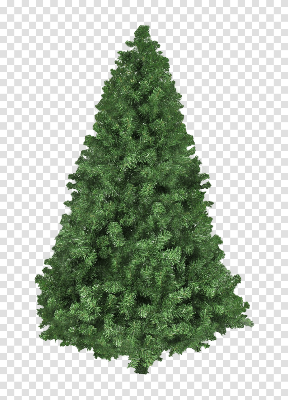 Christmas Tree Image, Religion, Ornament, Plant, Pine Transparent Png