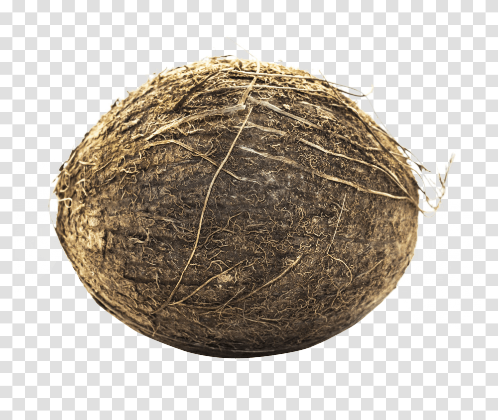 Coconut Image, Vegetable, Plant, Food, Tennis Ball Transparent Png