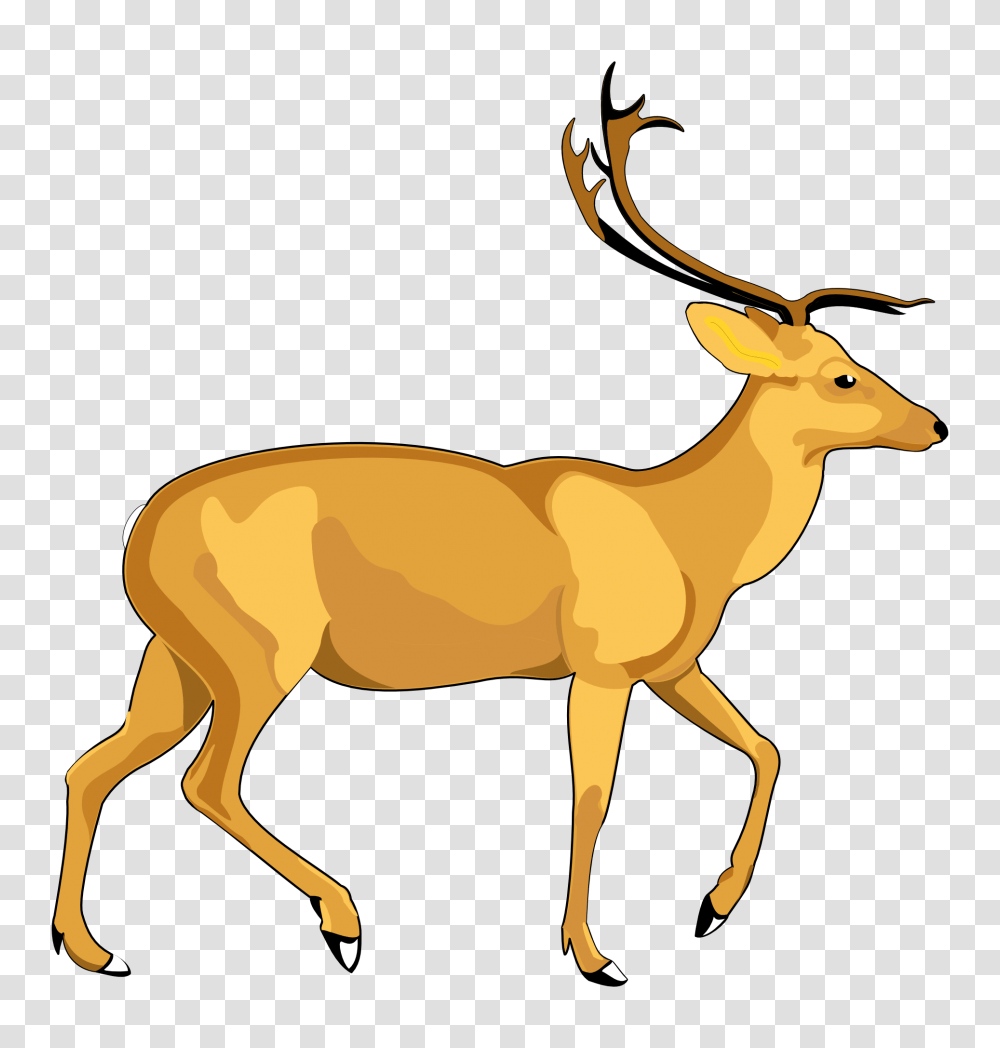 Deer Vector Image, Antelope, Wildlife, Mammal, Animal Transparent Png