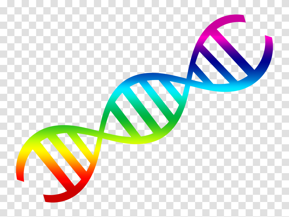 DNA Vector Image, Logo Transparent Png