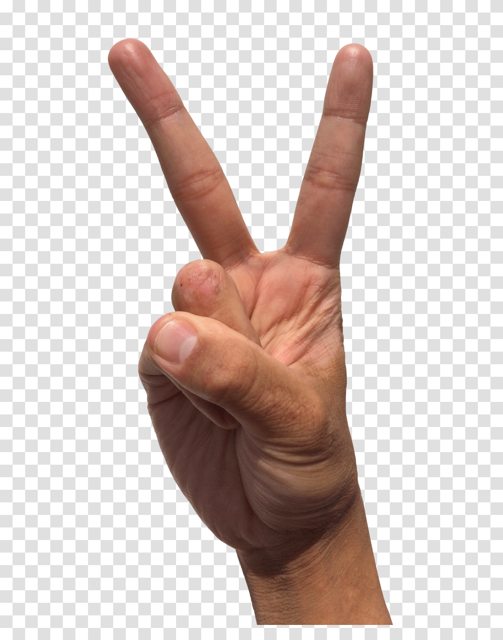 Finger Image, Person, Hand, Wrist, Human Transparent Png