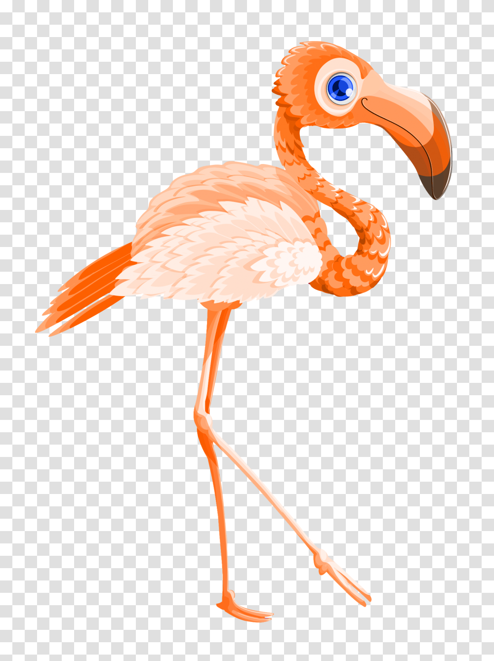 Flamingo Bird Vector Image, Animal, Beak Transparent Png