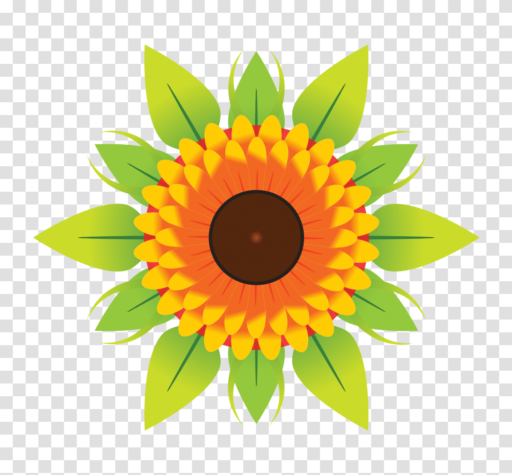 Flower Vector Image, Plant, Sunflower, Blossom, Daisy Transparent Png