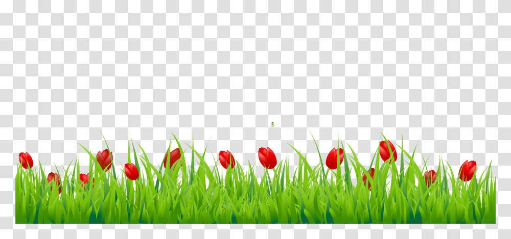 Grass Image, Nature, Plant, Spring, Tulip Transparent Png