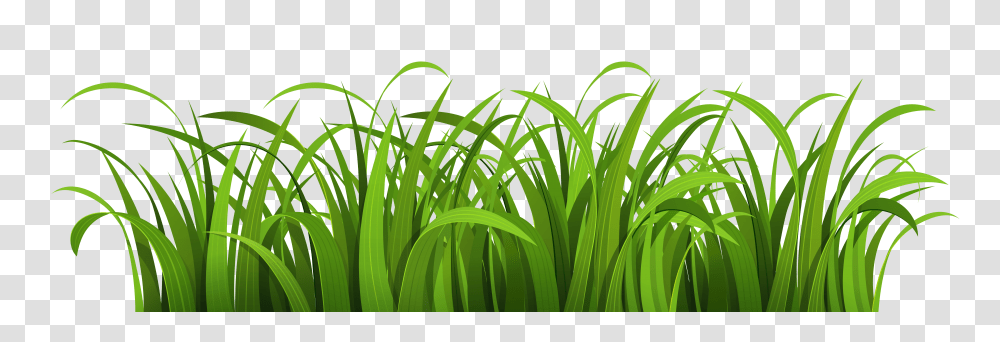 Grass Vector Image, Nature, Green, Plant, Lawn Transparent Png