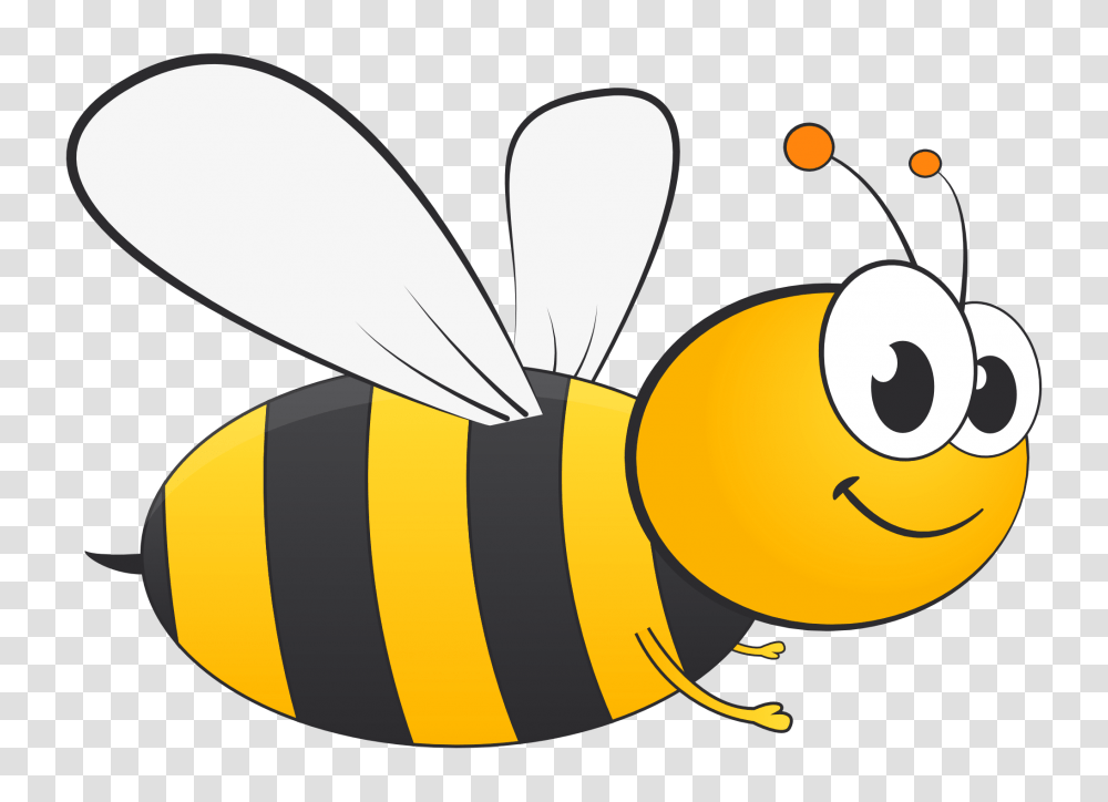 Honey Bee Vector Image, Insect, Invertebrate, Animal, Wasp Transparent Png