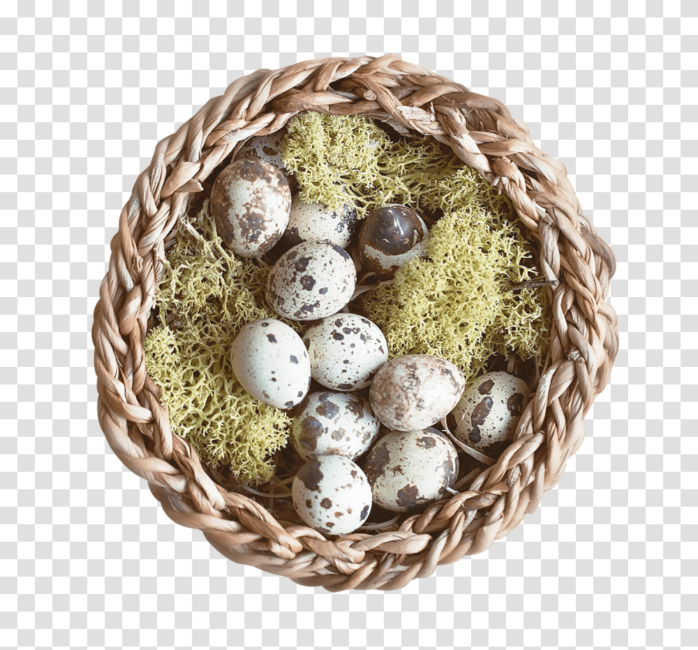 Nest Image, Food, Egg, Basket, Bird Nest Transparent Png