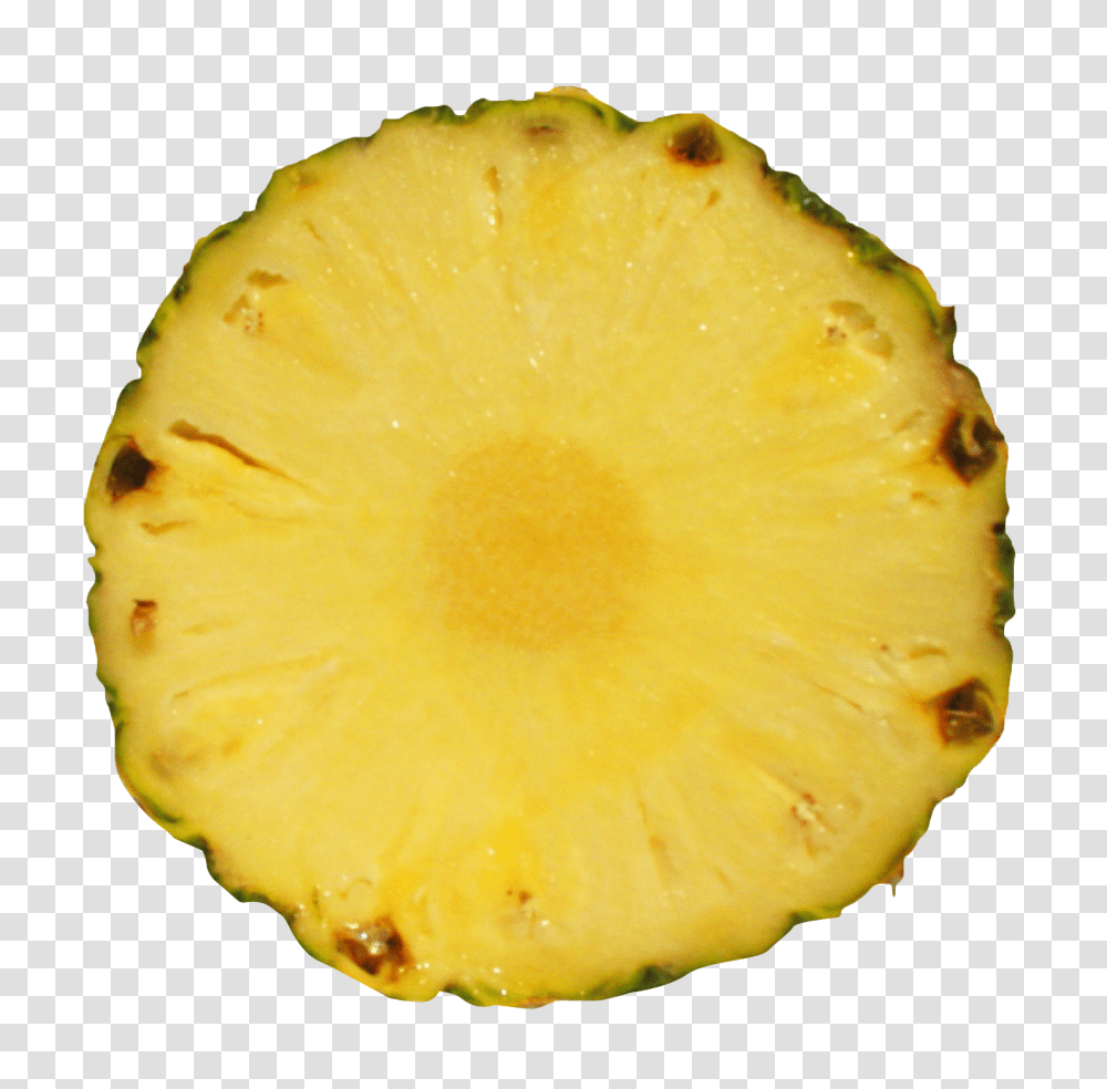 Pineapple Slice Image, Fruit, Plant, Food, Fungus Transparent Png