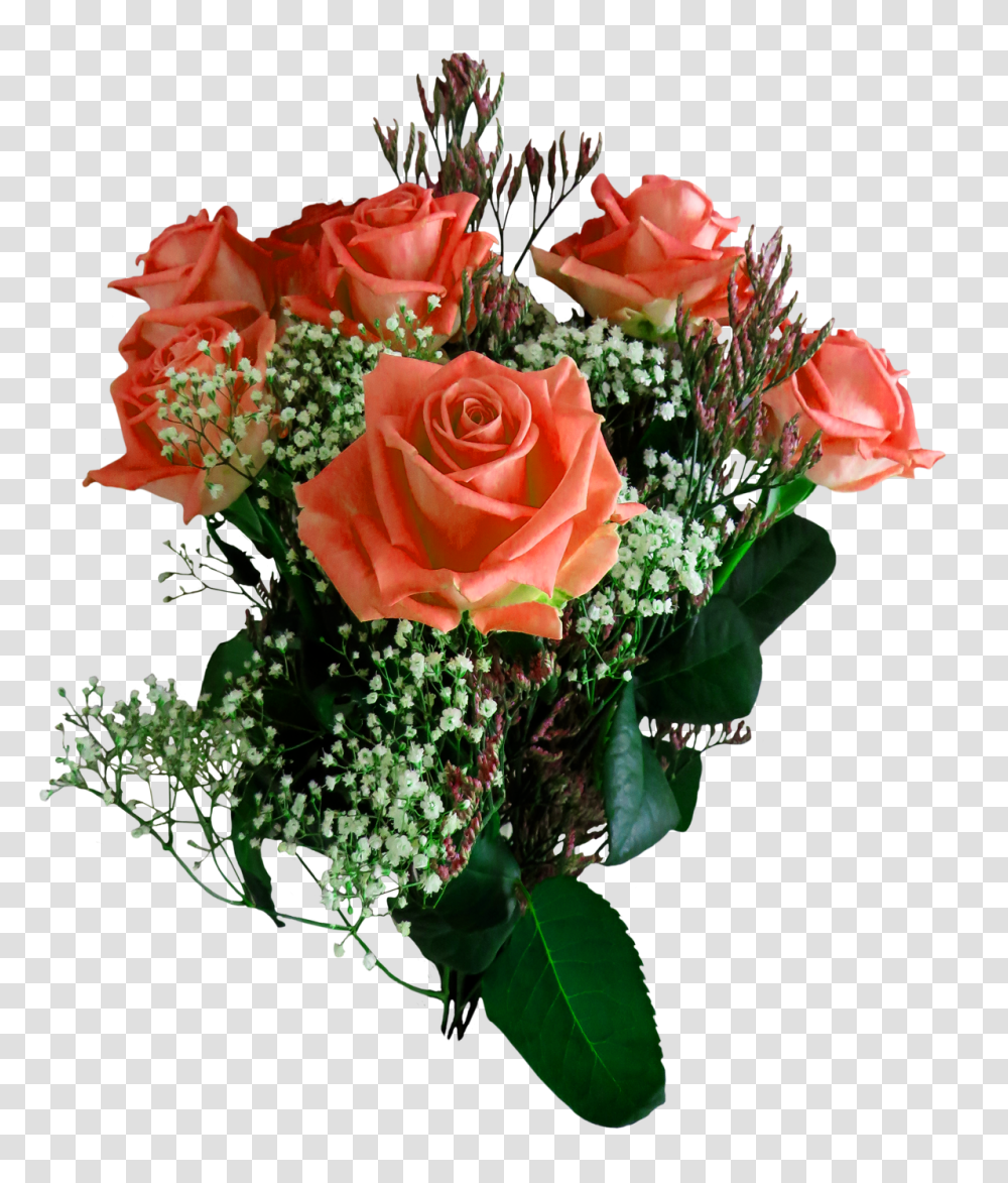 Rose Flower Image, Plant, Blossom, Flower Bouquet, Flower Arrangement Transparent Png