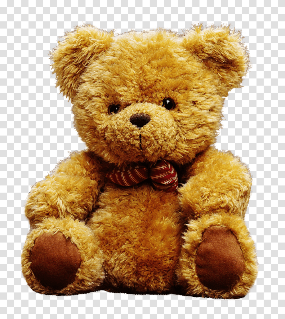 Teddy Bear Image, Toy, Plush Transparent Png