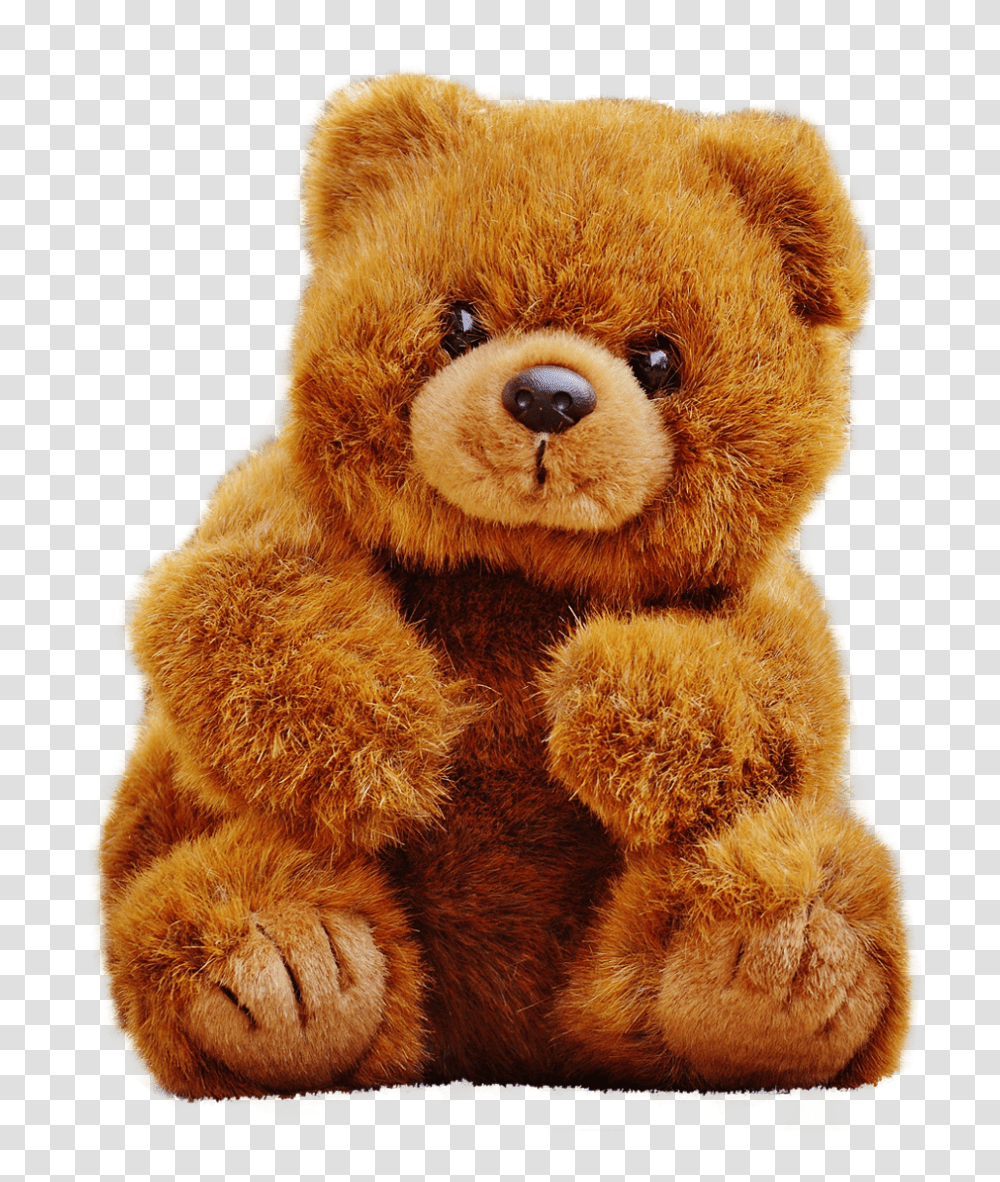 Teddy Bear Image, Toy, Plush Transparent Png