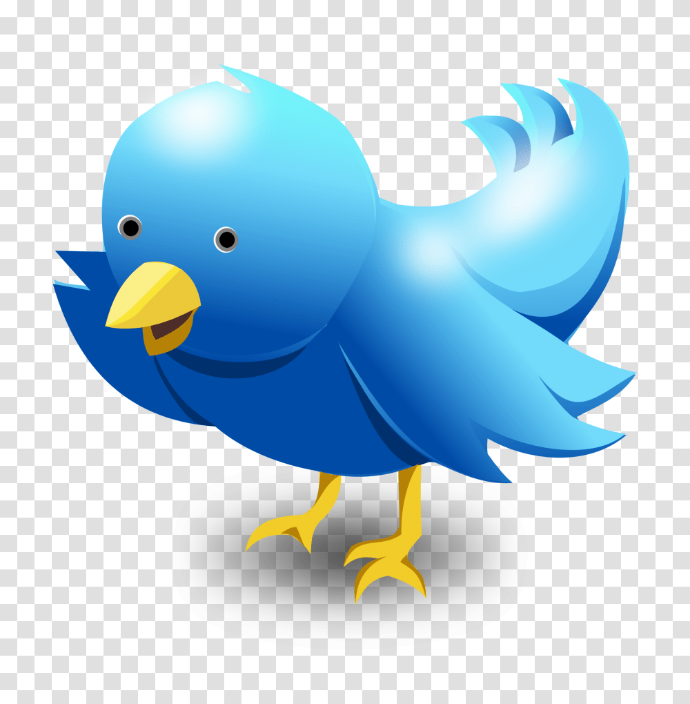 Twitter Bird Vector Image, Animal, Canary, Eagle Transparent Png