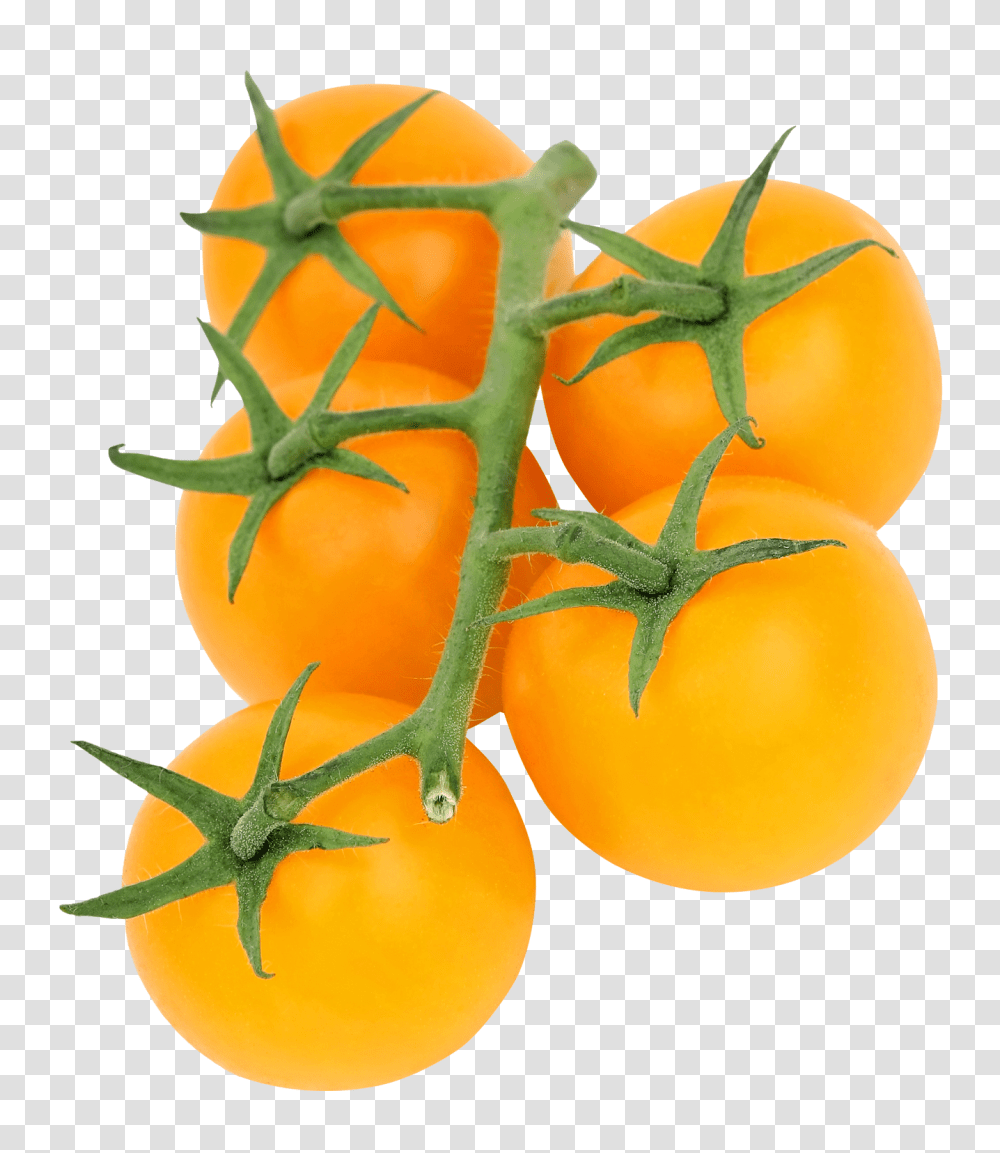 Yellow Tomato Image, Vegetable, Plant, Food Transparent Png