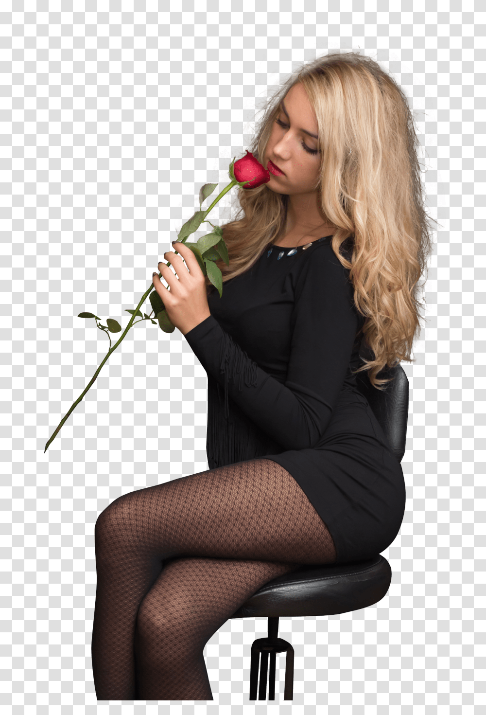 Young Beautiful Woman Sitting With Rose Image, Person, Blonde, Girl Transparent Png