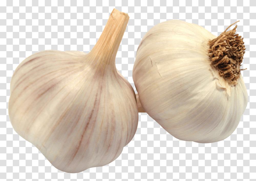 Garlic, Plant, Vegetable, Food, Fungus Transparent Png
